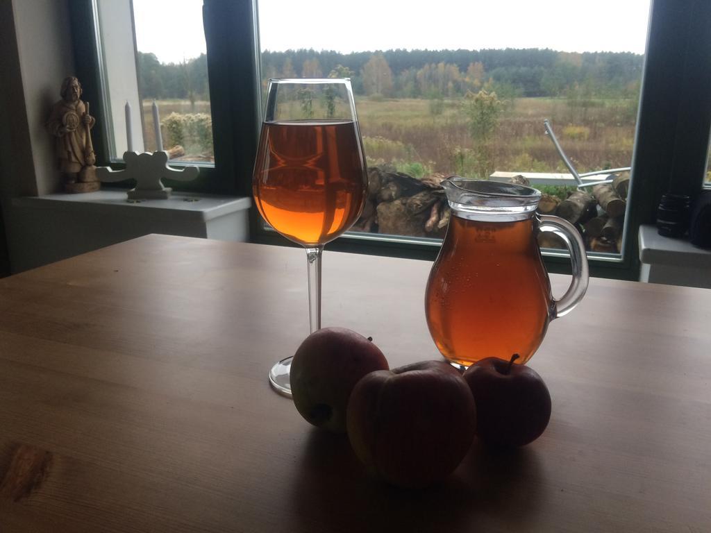 Chamedafne W Puszczy Kampinoskiej Brochów Εξωτερικό φωτογραφία